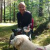 Spaziergänge im Wald