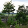 Blick in den Vorgarten